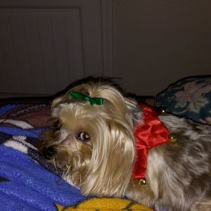 Meet your Posher, Kathy